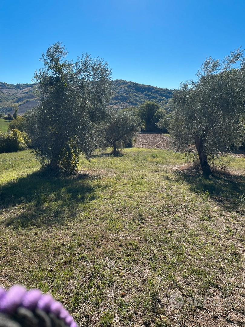 Casa rurale con terreno - Vista 4