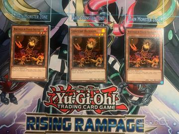 Bocciolo di fuoco solitario