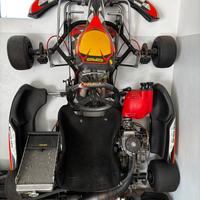 Go kart CRG KZ telaio road rebel 04/CH/14