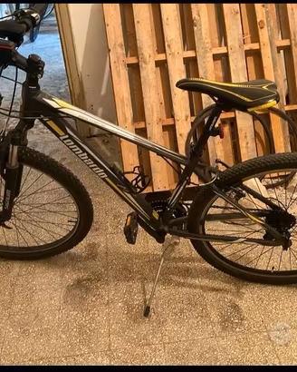 Mountain bike Lombardo