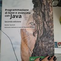 Savitch Programmazione in Java