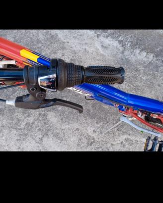 Mountain bike 21 rapporti con cambio Shimano 