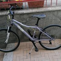 bicicletta per bambino