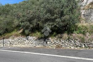 TER. AGRICOLO A OLEVANO ROMANO