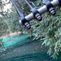 Reti raccolta olive