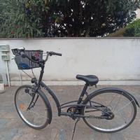 Bicicletta Citybike