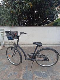 Bicicletta Citybike