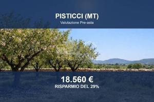 Immobile in asta di 58098 m² a Pisticci