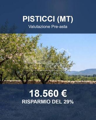 Immobile in asta di 58098 m² a Pisticci
