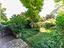 Immagine 28