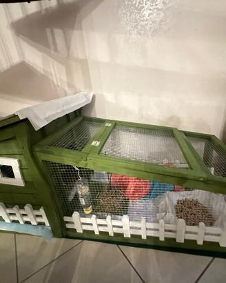 casetta per conigli