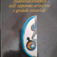 Collana "Anatomia Analitica" di C. Cavallotti - 9