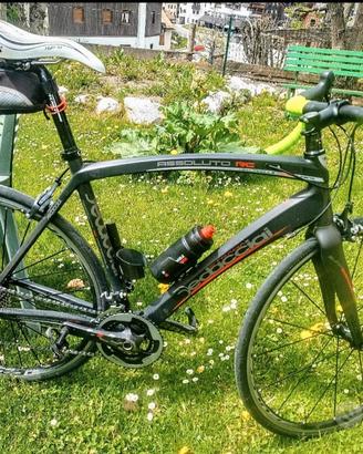 dedacciai Carbon RC assoluto 