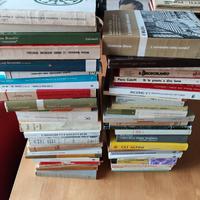 Lotto libri saggi, storia, filosofia, politica etc