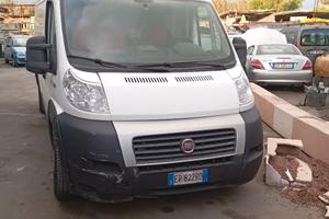 ducato Natural Power 