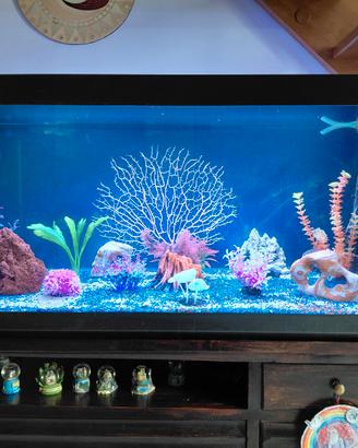 Acquario 200 lt