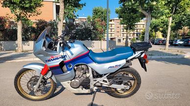 Honda XL 600 V Transalp - 1999 - Speciale 50º