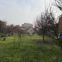 TER. AGRICOLO A TORINO