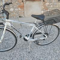 Bicicletta uomo