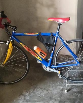 Bicicletta Bottecchia