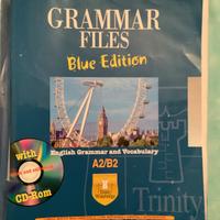 Libro scolastico superiori INGLESE GRAMMATICA
