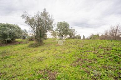 TER. AGRICOLO A SACROFANO