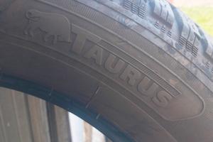 Gomme Invernali