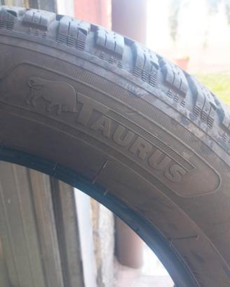 Gomme Invernali