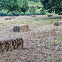 Fieno in ballette