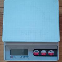 Bilancia da cucina di precisione