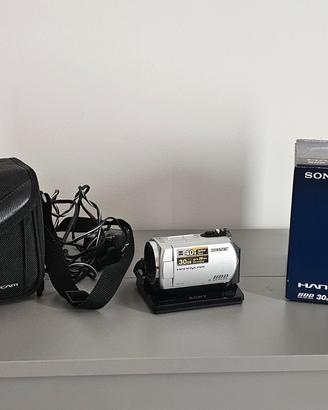 Sony Handycam DCR-SR32E 30GB