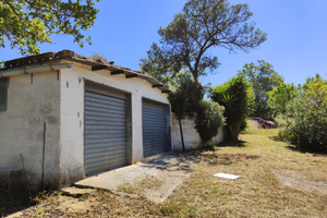 Vendesi terreno con due rustici