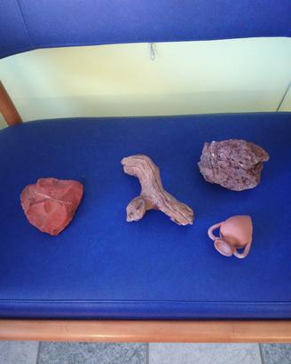 accessori per acquario 