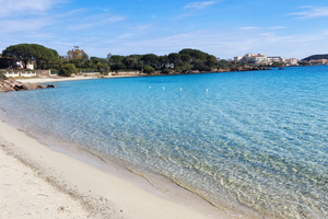 Grazioso appartamento vicino al mare