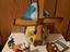 Immagine 3