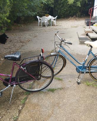 coppia bici da donna 
