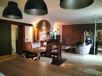 Loft negozio+appartamento