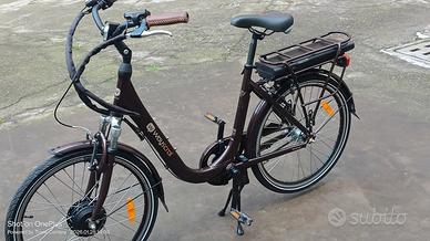 bicicletta elettrica 
