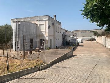 Capannone uso commerciale