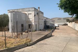 Capannone uso commerciale