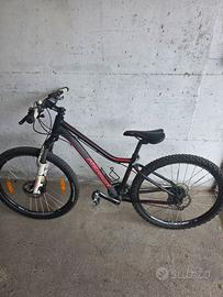 Bicicletta