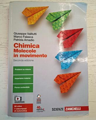 Chimica Molecole in movimento, Seconda edizione 