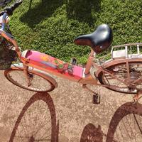 bicicletta elettrica 