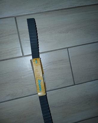 cinta di distribuzione