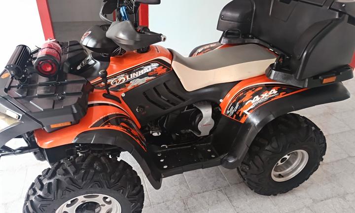 Linhai muddy 300 4x4