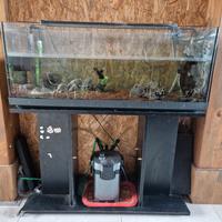 acquario 100lt