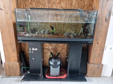 acquario 100lt