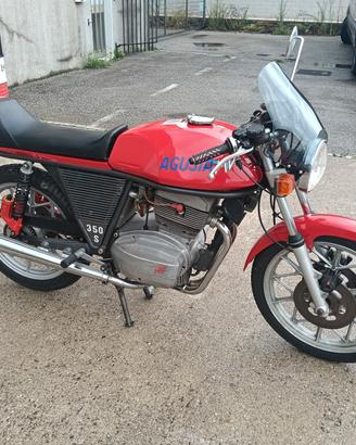 Mv Agusta 350 SS S Ipotesi