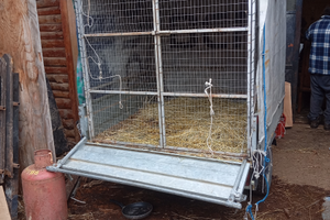 Carello trasporto animali