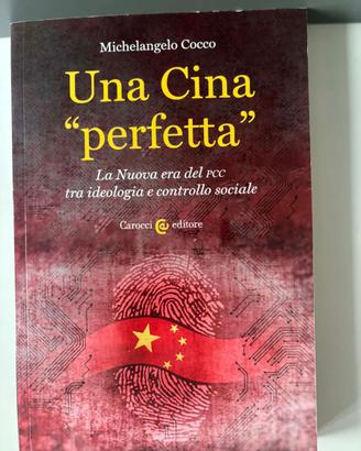 MICHELANGELO COCCO : UNA CINA "PERFETTA" -libro